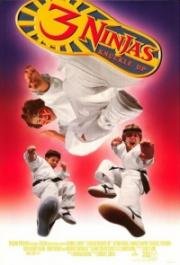 Три ниндзя: Костяшки вверх (3 Ninjas Knuckle Up) 1995