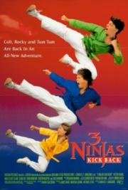 Три ниндзя наносят ответный удар (3 Ninjas Kick Back) 1994
