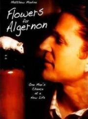 Цветы для Элджернона (Flowers for Algernon) 2000