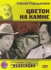 Цветок на камне 1962