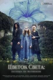 Цветок света 2022