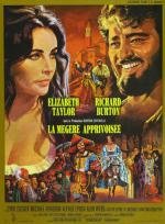 Укрощение строптивой (The Taming Of The Shrew) 1967