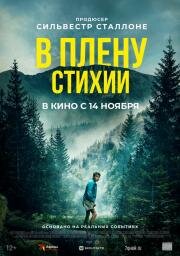 В плену стихии (Lost on a Mountain in Maine) 2024