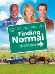 В поисках нормального (Finding Normal) (2013)