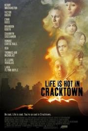 Веселая жизнь в Крэктауне (Life Is Hot in Cracktown) 2009