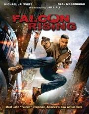 Восхождение Сокола (Falcon Rising) (2014)