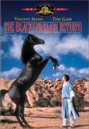 Возвращение черного скакуна (The Black Stallion Returns) (1983)