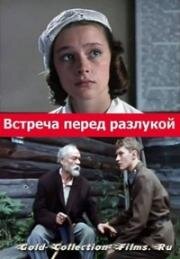 Встреча перед разлукой 1985