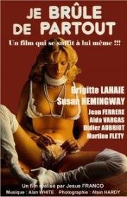 Я горю со всех сторон (Я вся горю) (Je brûle de partout ( I'm burning all over)) (1979)