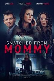 Ярость матери (A Mother's Fury (Snatched from Mommy)) 2021