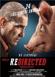 Занесло (Rеdirected) 2014