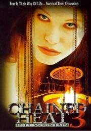Женщины за решёткой 3: Проклятое ущелье (Chained Heat III: Hell Mountain) 1998