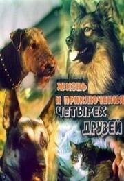 Жизнь и приключения четырех друзей 1993