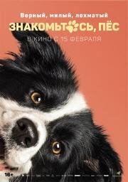 Знакомьтесь, пёс 2022