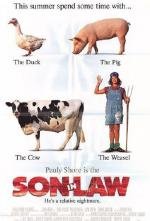 Зятек (Son in Law) 1993