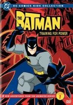 Бэтмен (The Batman) 2004