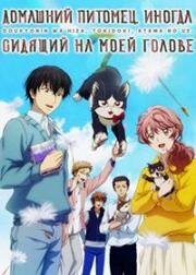 Домашний питомец, иногда сидящий на моей голове (Doukyonin wa Hiza, Tokidoki, Atama no Ue. (My Roommate Is a Cat)) 2019