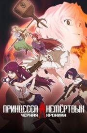 Принцесса Немертвых: черная хроника (Shikabane hime kuro (Corpse Princess: Black)) 2009