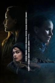 Холодная гавань (2025)